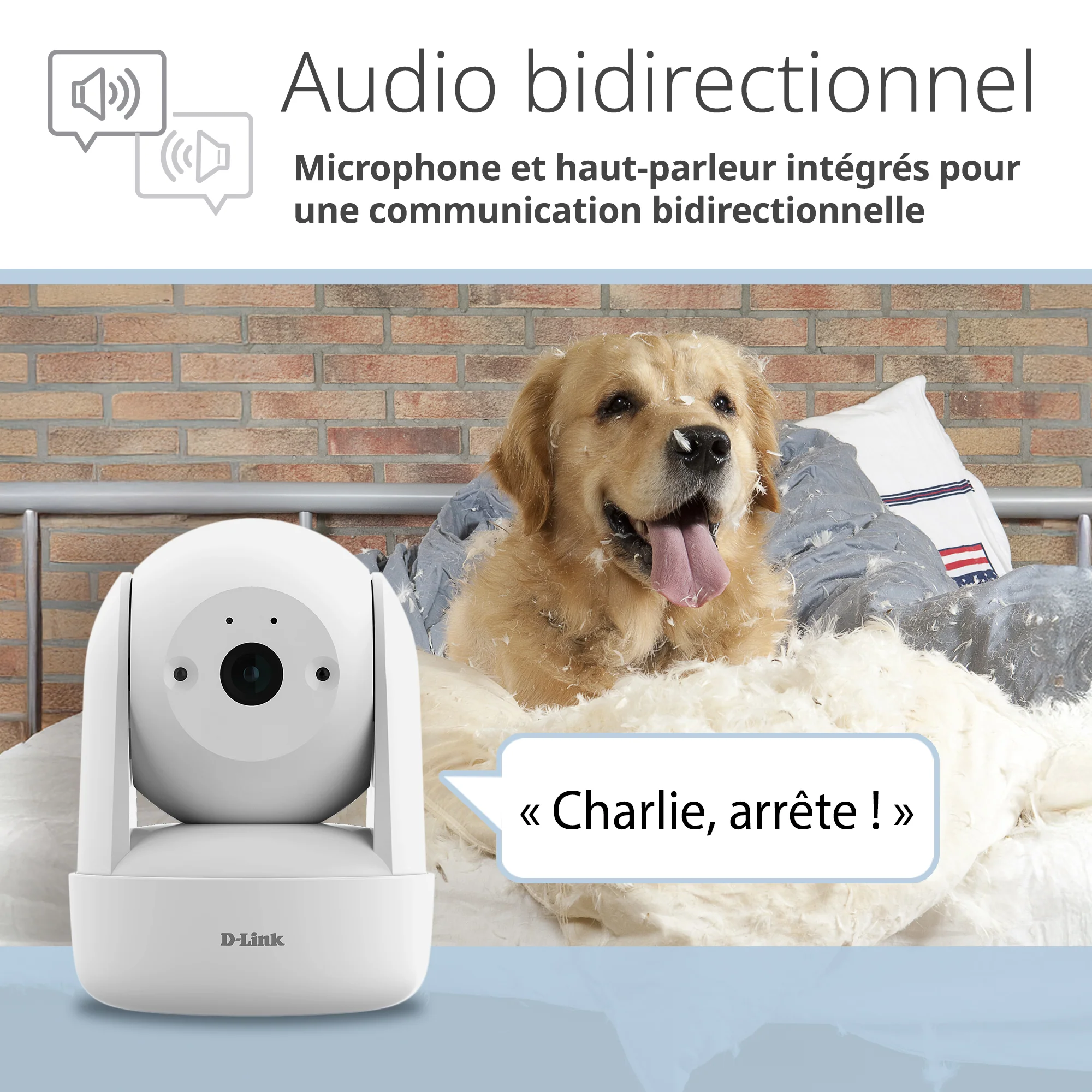 2K Pan & Tilt Wi-Fi 6 Camera - DCS-6501LH - Image 13