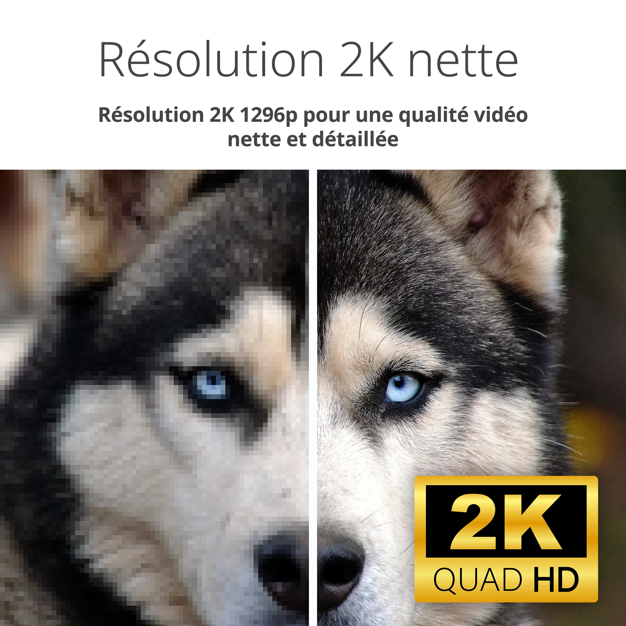 2K Pan & Tilt Wi-Fi 6 Camera - DCS-6501LH - Image 3